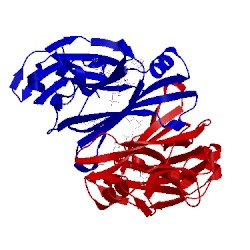 Image of CATH 5jih