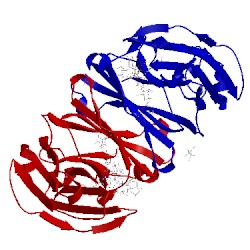 Image of CATH 5jii