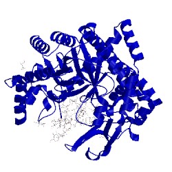 Image of CATH 5jiw