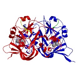 Image of CATH 5jj0