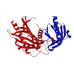 Image of CATH 5jjd