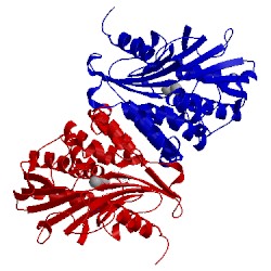 Image of CATH 5jju