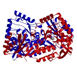 Image of CATH 5jk6