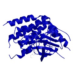Image of CATH 5jkg