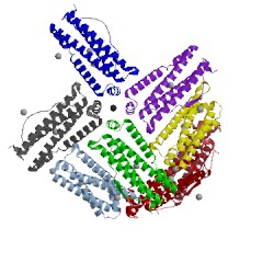 Image of CATH 5jkk
