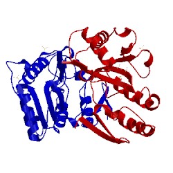 Image of CATH 5jkr