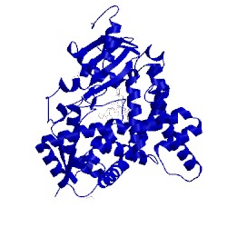 Image of CATH 5jkv