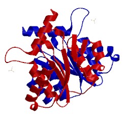 Image of CATH 5jl4