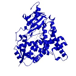 Image of CATH 5jl9