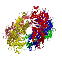 Image of CATH 5jlf
