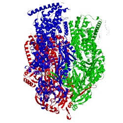 Image of CATH 5jmn