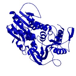 Image of CATH 5jmt