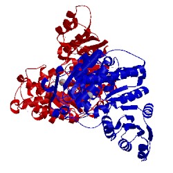 Image of CATH 5jnl