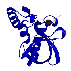 Image of CATH 5job