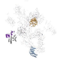 Image of CATH 5jpq