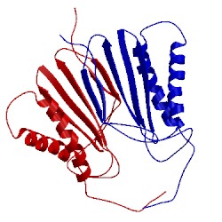 Image of CATH 5jpw