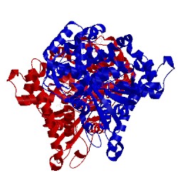 Image of CATH 5jq2