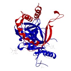 Image of CATH 5jqb