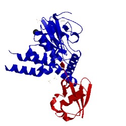 Image of CATH 5jqs