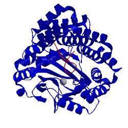 Image of CATH 5jqy