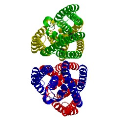 Image of CATH 5jrc