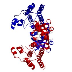 Image of CATH 5jrq