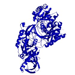 Image of CATH 5js1