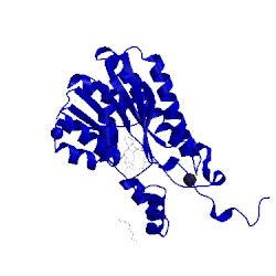 Image of CATH 5jsf