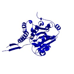 Image of CATH 5jsx