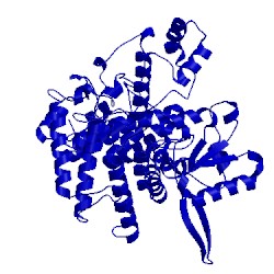 Image of CATH 5jta