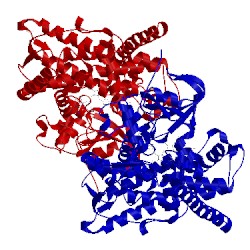 Image of CATH 5jtd