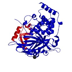 Image of CATH 5jtj