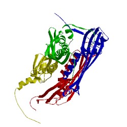 Image of CATH 5jtn