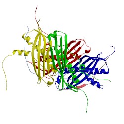 Image of CATH 5jtp