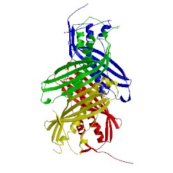 Image of CATH 5jtq