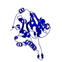 Image of CATH 5jud