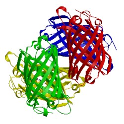 Image of CATH 5jva