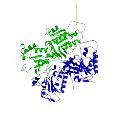 Image of CATH 5jwq