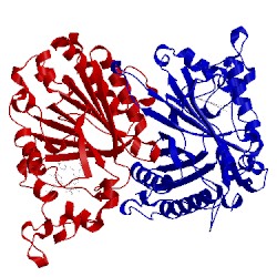 Image of CATH 5jxu