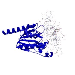Image of CATH 5jxy