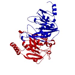 Image of CATH 5k7w