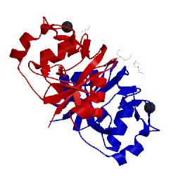 Image of CATH 5k8y