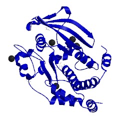 Image of CATH 5k9w