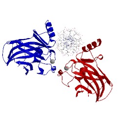 Image of CATH 5kbd