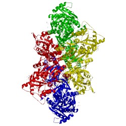 Image of CATH 5kbs