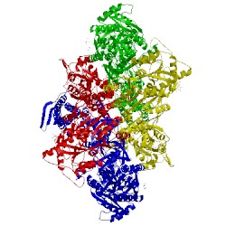 Image of CATH 5kbt