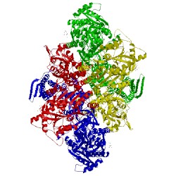 Image of CATH 5kbu