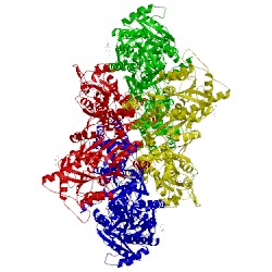 Image of CATH 5kbv