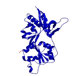 Image of CATH 5kcj