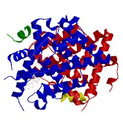 Image of CATH 5kcu